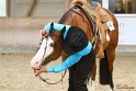31-APHA OAWP_023